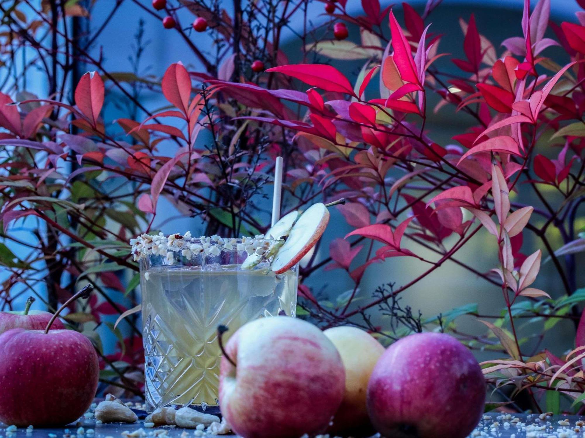 Mercure Aix-Les-Bains Domaine De Marlioz Hotel & Spa エクステリア 写真